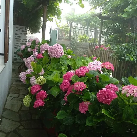 Village House Agios Lavrentios