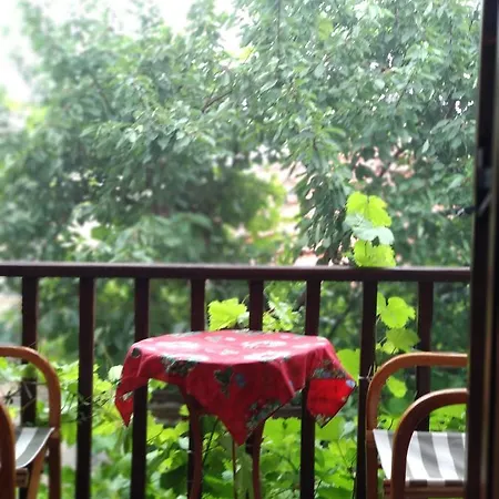 Guest house Village House