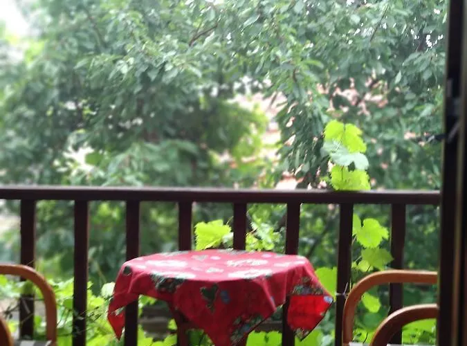 Guest house Village House